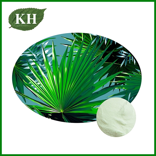 Saw Palmetto Extract Powder